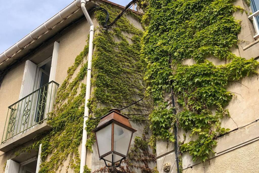 Carrer Del Sol Βίλα Σαιντ-Μαρί-ντε-λα-Μερ Εξωτερικό φωτογραφία